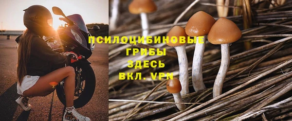 спайс Алзамай