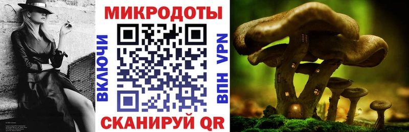 Галлюциногенные грибы мицелий  как найти закладки  Жиздра 